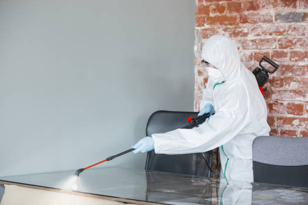 Reliable Washington, MO Mold Removal Services Solutions