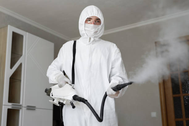 Best Attic Mold Removal  in Washington, MO